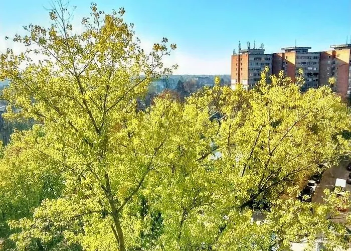 I1 Ultracentral- Deluxe, Modern *